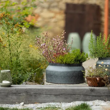 Farma Maison d'hôtes 3*