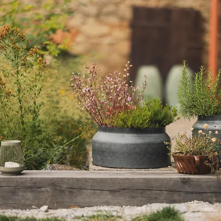 Maison d'hôtes Farma Kalhov